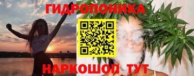 СК Кингисепп
